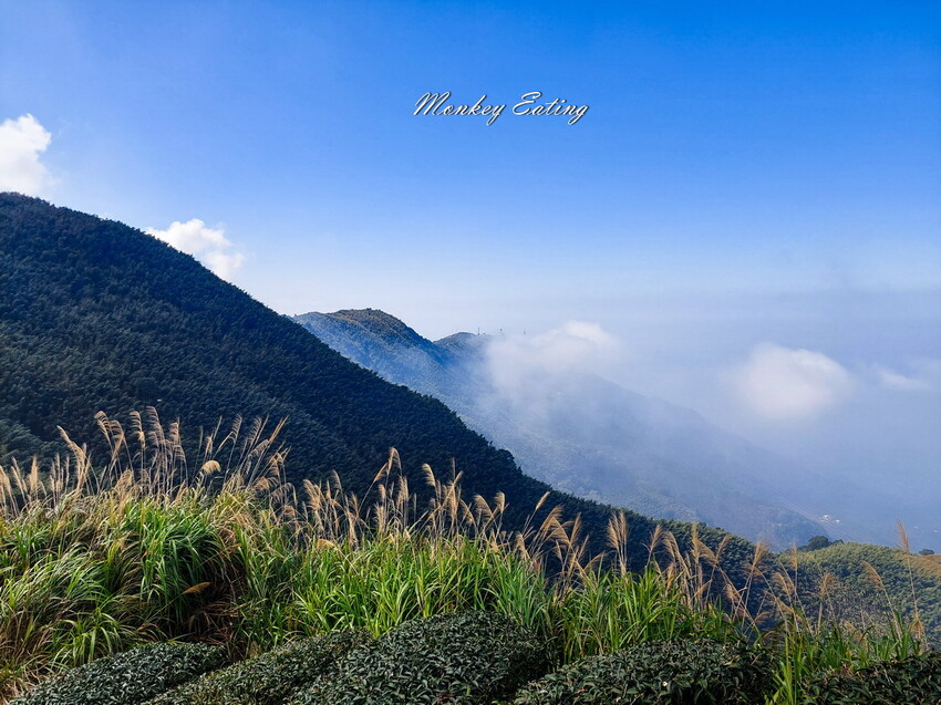 【雲嘉五連峰】漫步高山茶園的仙境小百岳,太平老街起登,連走太平山、梨子腳山、馬鞍山、二尖山、大尖山 - 貪吃猴的幻想