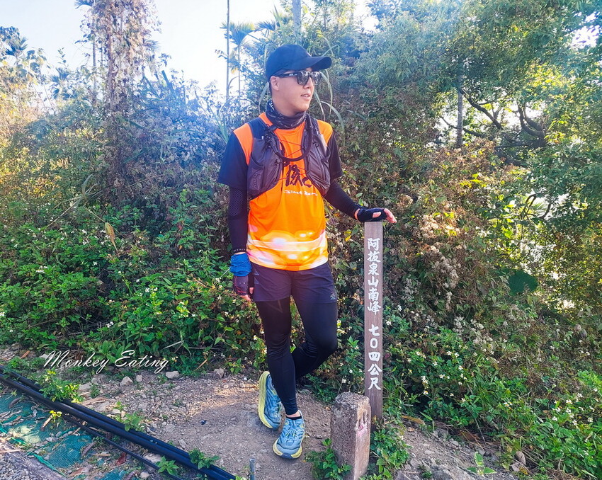 【雲嘉18連峰】嘉義雲林40K大縱走，必拍超美高山茶園。樟腦寮起登。補給點路線攻略。越野跑練習場 - 貪吃猴的幻想