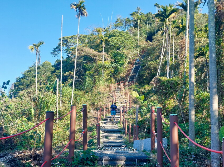 【雲嘉18連峰】嘉義雲林40K大縱走，必拍超美高山茶園。樟腦寮起登。補給點路線攻略。越野跑練習場 - 貪吃猴的幻想
