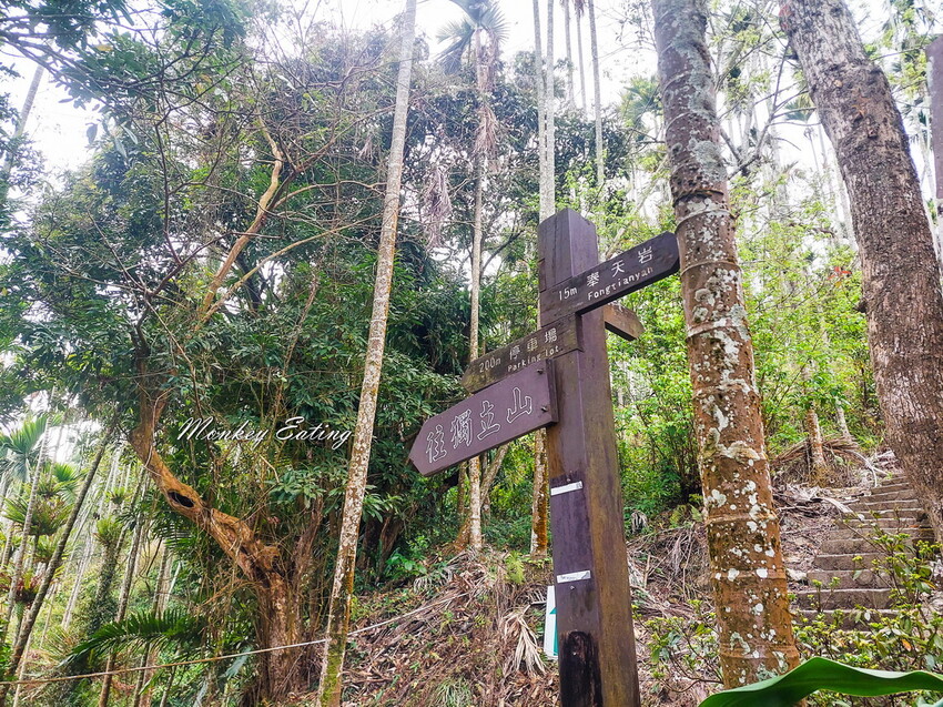 【雲嘉18連峰】嘉義雲林40K大縱走，必拍超美高山茶園。樟腦寮起登。補給點路線攻略。越野跑練習場 - 貪吃猴的幻想