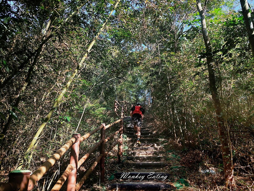 【雲嘉18連峰】嘉義雲林40K大縱走，必拍超美高山茶園。樟腦寮起登。補給點路線攻略。越野跑練習場 - 貪吃猴的幻想
