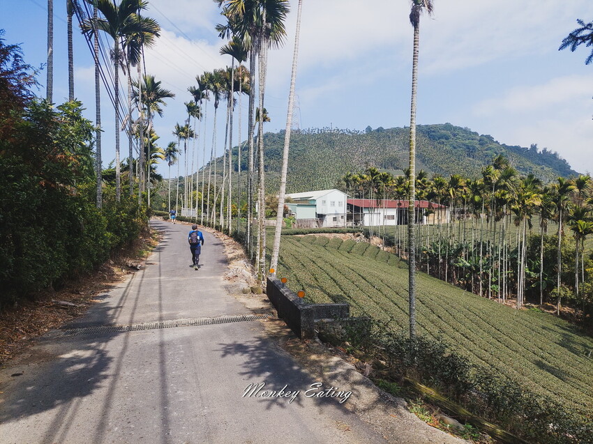 【雲嘉18連峰】嘉義雲林40K大縱走，必拍超美高山茶園。樟腦寮起登。補給點路線攻略。越野跑練習場 - 貪吃猴的幻想