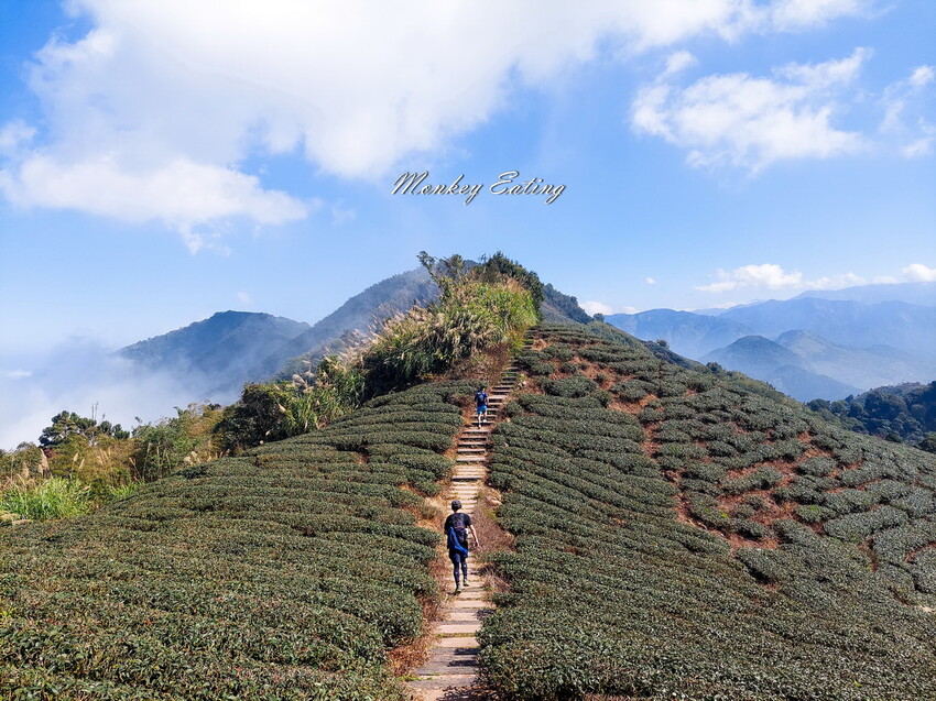 【雲嘉五連峰】漫步高山茶園的仙境小百岳,太平老街起登,連走太平山、梨子腳山、馬鞍山、二尖山、大尖山 - 貪吃猴的幻想