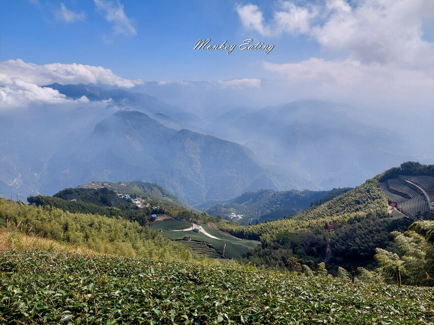 【雲嘉五連峰】漫步高山茶園的仙境小百岳,太平老街起登,連走太平山、梨子腳山、馬鞍山、二尖山、大尖山 - 貪吃猴的幻想