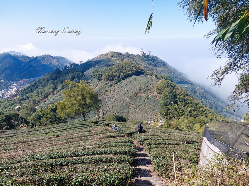 【雲嘉五連峰】漫步高山茶園的仙境小百岳,太平老街起登,連走太平山、梨子腳山、馬鞍山、二尖山、大尖山 - 貪吃猴的幻想
