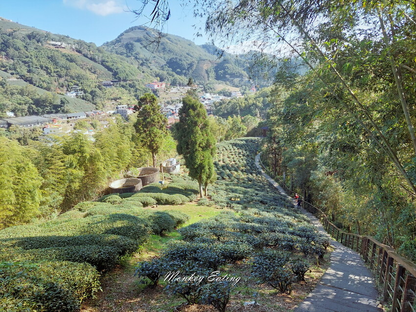 【雲嘉18連峰】嘉義雲林40K大縱走，必拍超美高山茶園。樟腦寮起登。補給點路線攻略。越野跑練習場 - 貪吃猴的幻想