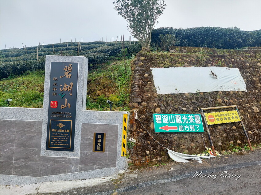 【雲嘉18連峰】嘉義雲林40K大縱走，必拍超美高山茶園。樟腦寮起登。補給點路線攻略。越野跑練習場 - 貪吃猴的幻想