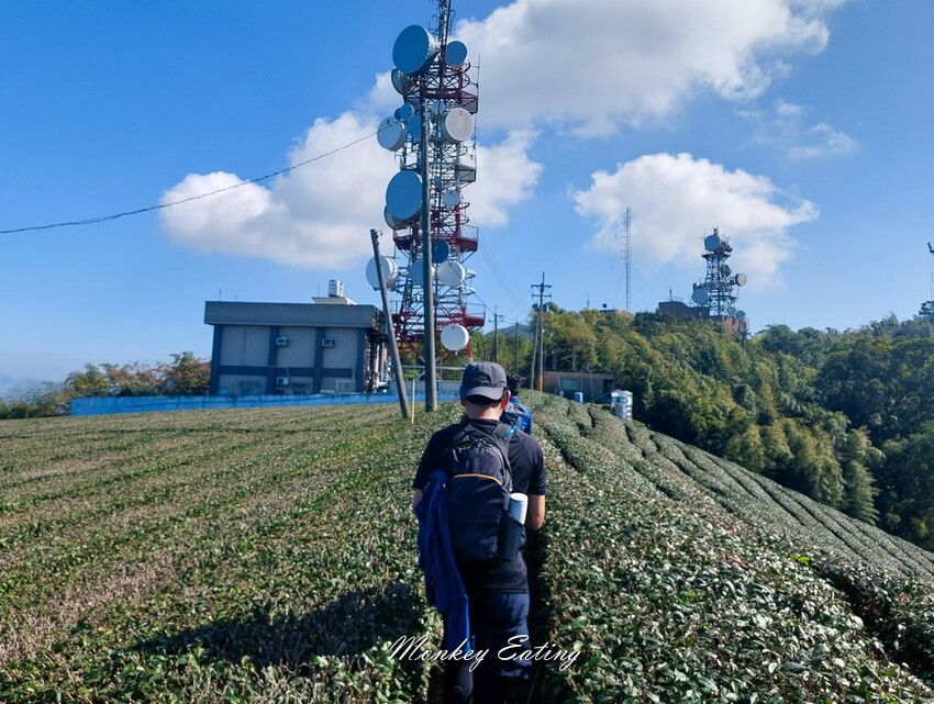 【雲嘉五連峰】漫步高山茶園的仙境小百岳,太平老街起登,連走太平山、梨子腳山、馬鞍山、二尖山、大尖山 - 貪吃猴的幻想