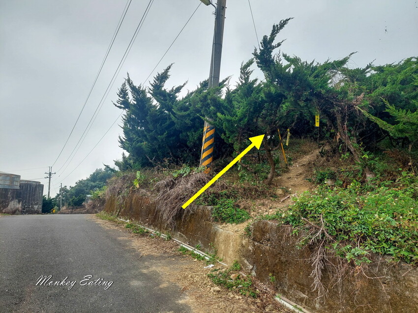 【雲嘉18連峰】嘉義雲林40K大縱走，必拍超美高山茶園。樟腦寮起登。補給點路線攻略。越野跑練習場 - 貪吃猴的幻想