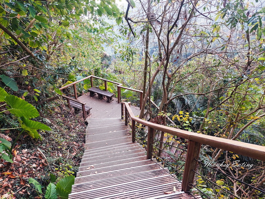 【雲嘉18連峰】嘉義雲林40K大縱走，必拍超美高山茶園。樟腦寮起登。補給點路線攻略。越野跑練習場 - 貪吃猴的幻想