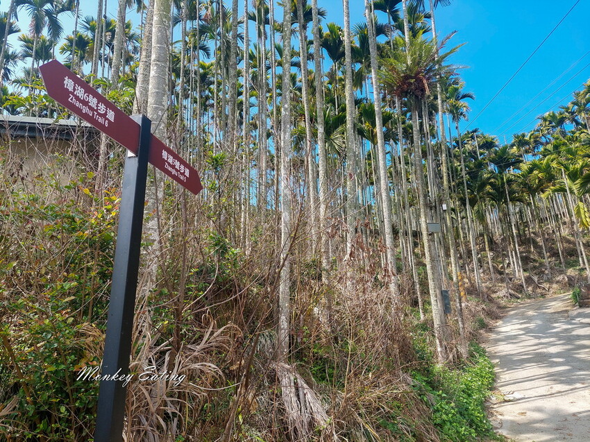 【雲嘉18連峰】嘉義雲林40K大縱走，必拍超美高山茶園。樟腦寮起登。補給點路線攻略。越野跑練習場 - 貪吃猴的幻想