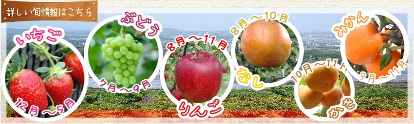 日本九州採草莓推薦｜吉次園KICHIJIEN，熊本必訪草莓吃到飽12月~5月，親子農場推薦