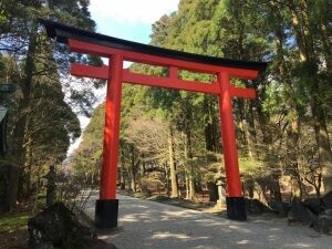 日本九州採草莓推薦｜吉次園KICHIJIEN，熊本必訪草莓吃到飽12月~5月，親子農場推薦