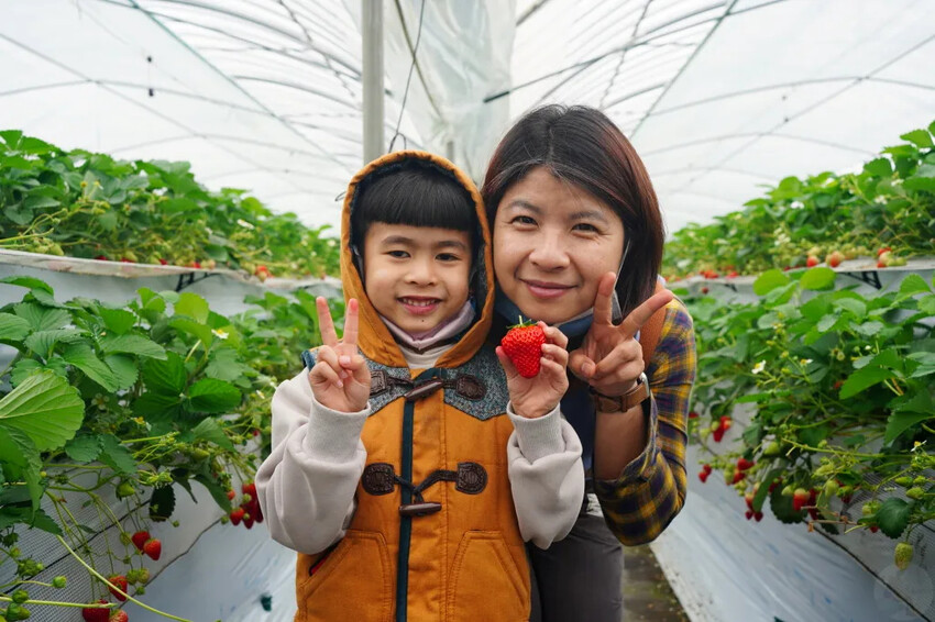 日本九州採草莓推薦｜吉次園KICHIJIEN，熊本必訪草莓吃到飽12月~5月，親子農場推薦