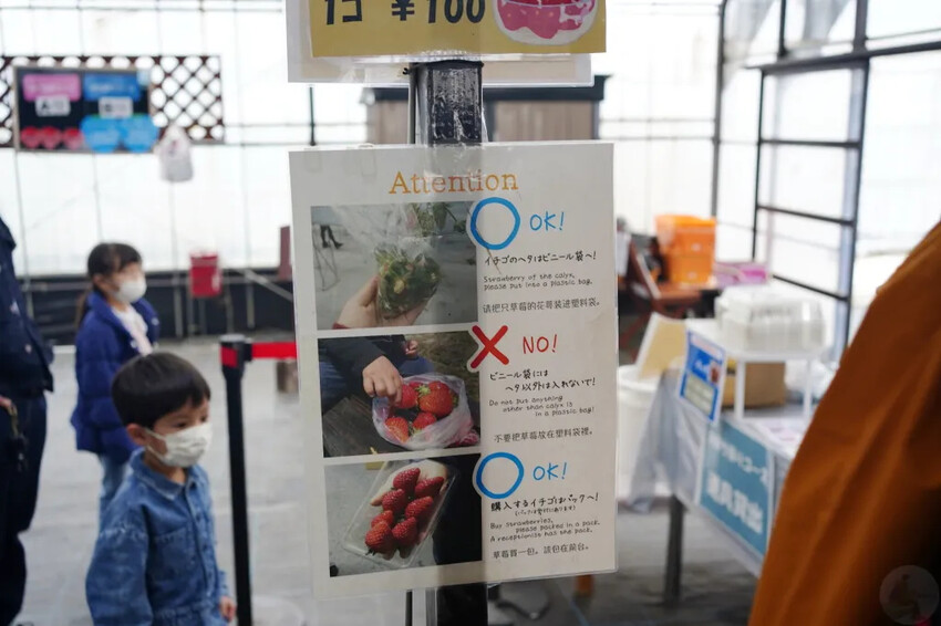 日本九州採草莓推薦｜吉次園KICHIJIEN，熊本必訪草莓吃到飽12月~5月，親子農場推薦
