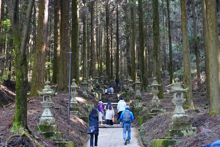 日本日本上色見熊野座神社：超人氣漫畫「螢火之森」粉絲必訪的夢幻神社導覽