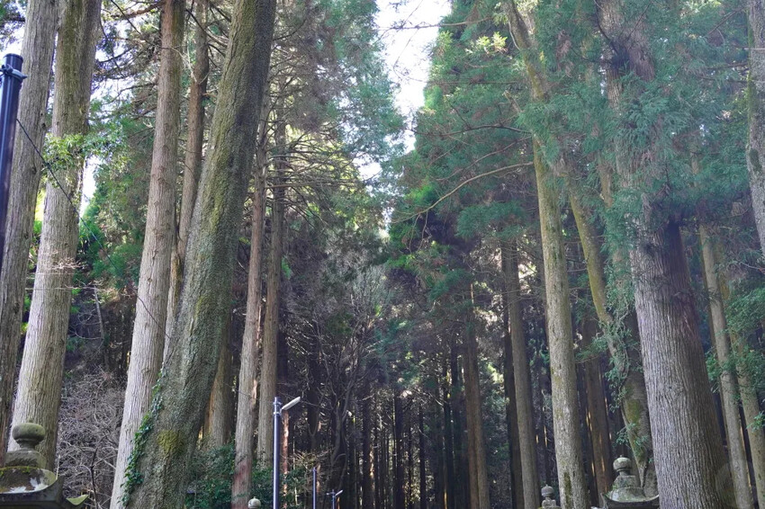 日本日本上色見熊野座神社：超人氣漫畫「螢火之森」粉絲必訪的夢幻神社導覽