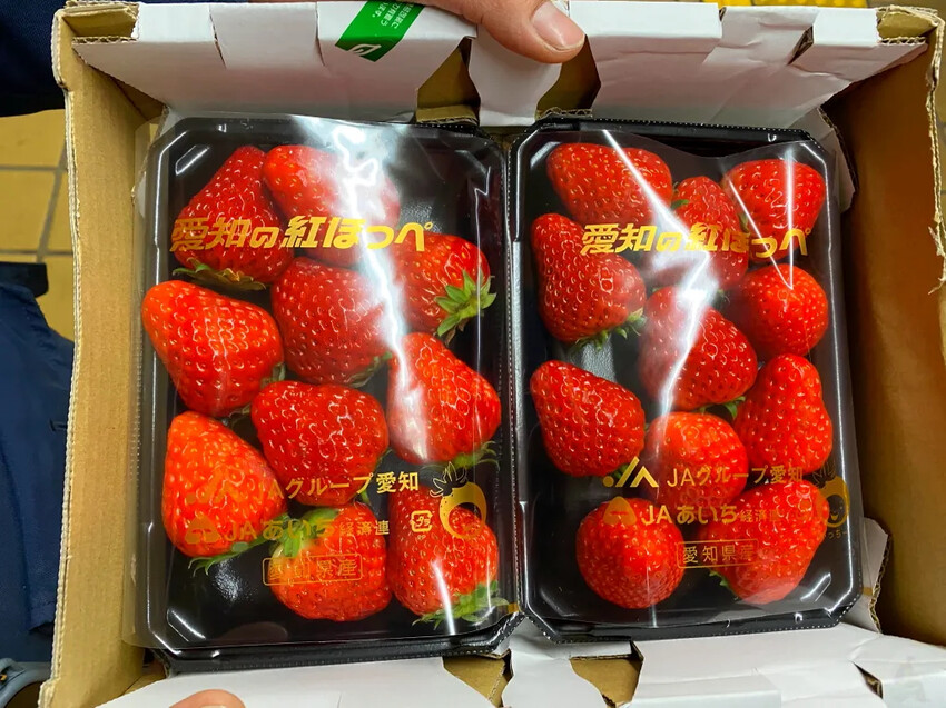 日本日本名古屋｜五天四夜自由行，交通、景點、WaySim威訊網卡推薦懶人包