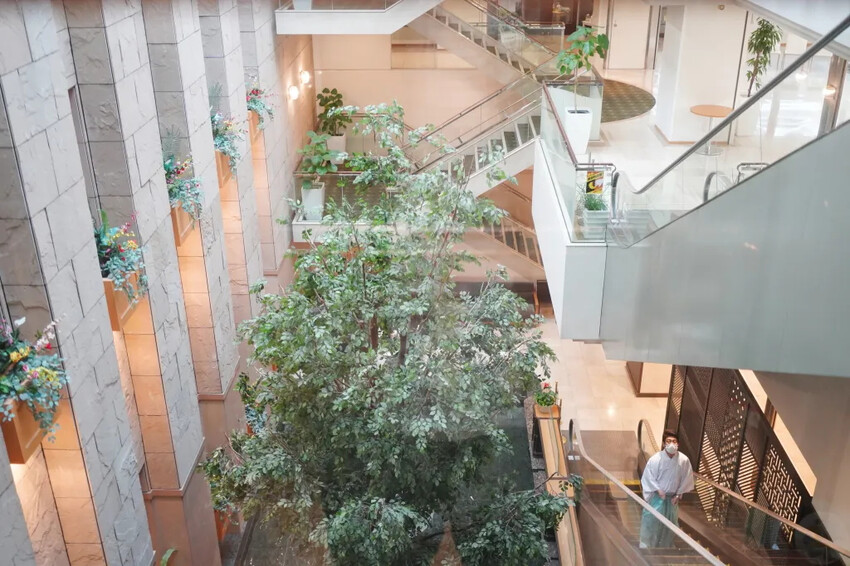 日本熊本住宿推薦｜熊本KKR飯店隔壁就是熊本城，離上/下通町步行約10分鐘