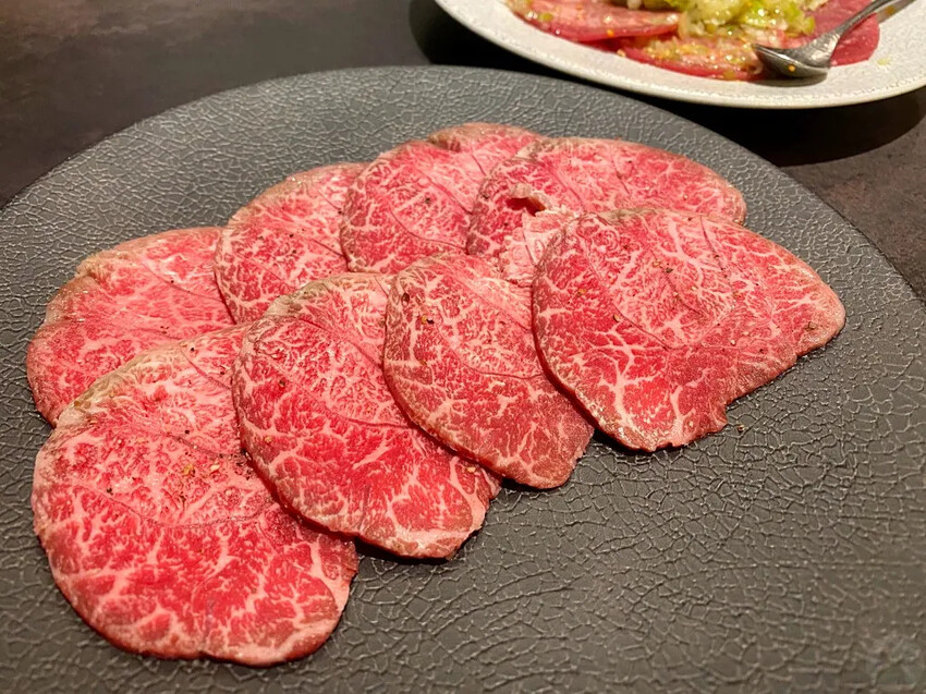 日本日本名古屋｜五天四夜自由行，交通、景點、WaySim威訊網卡推薦懶人包