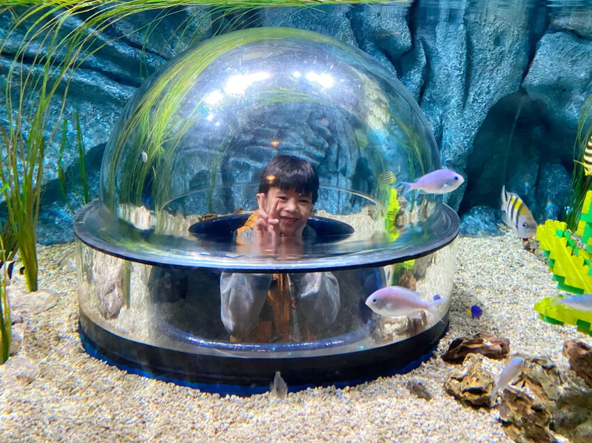 日本日本名古屋｜五天四夜自由行，交通、景點、WaySim威訊網卡推薦懶人包