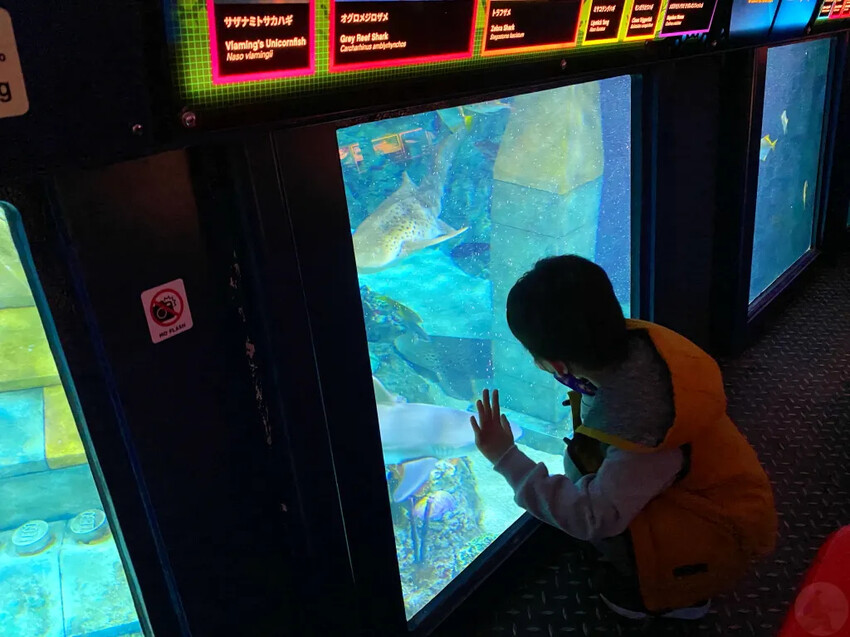 日本日本名古屋樂高樂園|優惠門票、交通方式、必玩設施大揭發