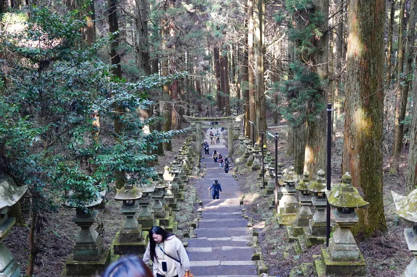 日本日本上色見熊野座神社：超人氣漫畫「螢火之森」粉絲必訪的夢幻神社導覽