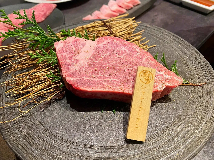 日本日本名古屋｜五天四夜自由行，交通、景點、WaySim威訊網卡推薦懶人包