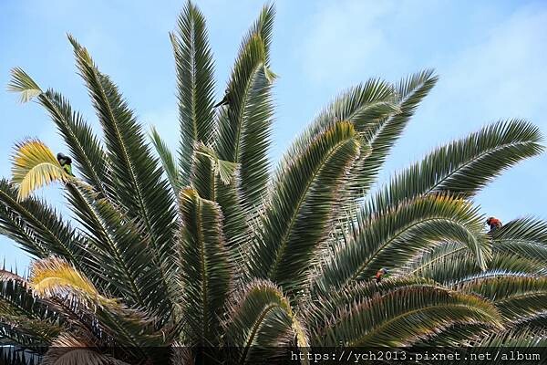 西澳伯斯聖母主教座堂St. Mary's Cathedral 西澳伯斯聖母主教座堂St. Mary's Cathedral