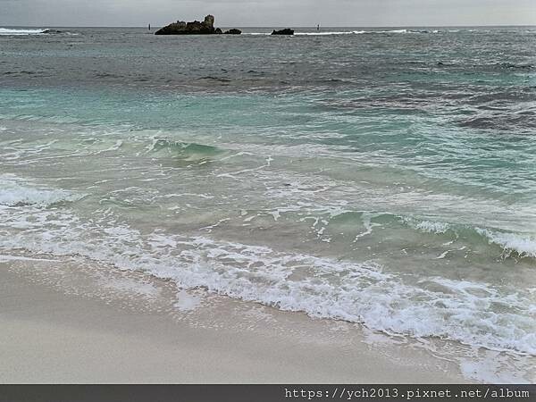 西澳伯斯離島羅特尼斯島Rottnest Island漫步／遇