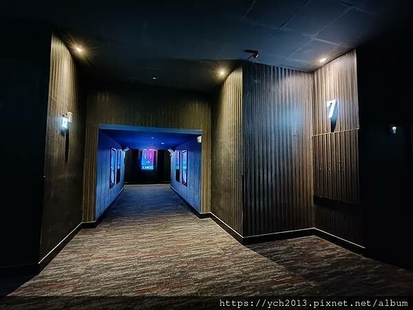 飛鴨向前衝MIGRATION影評/美國動畫冒險喜劇