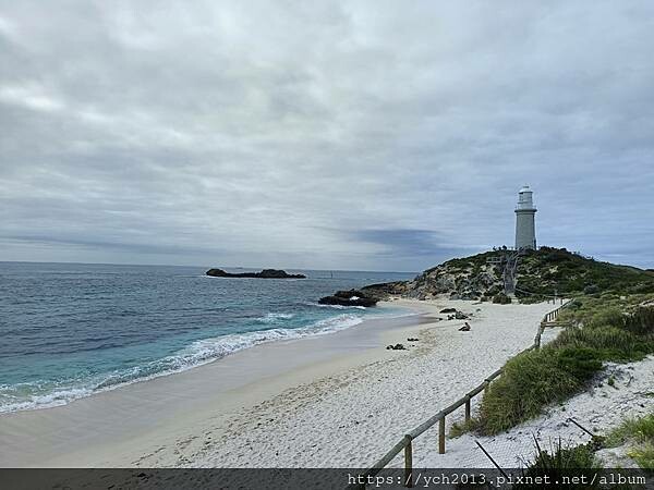 西澳伯斯離島羅特尼斯島Rottnest Island漫步／遇