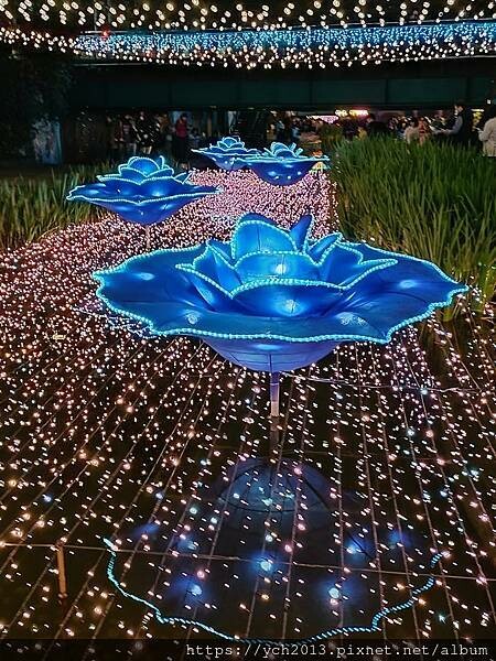 2024幸福新北戀戀中港／中港大排光雕展