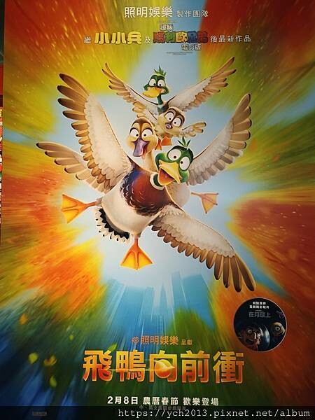 飛鴨向前衝MIGRATION影評/美國動畫冒險喜劇