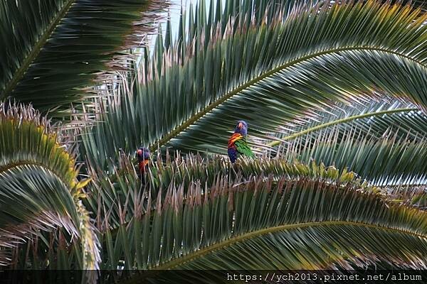 西澳伯斯聖母主教座堂St. Mary's Cathedral 西澳伯斯聖母主教座堂St. Mary's Cathedral