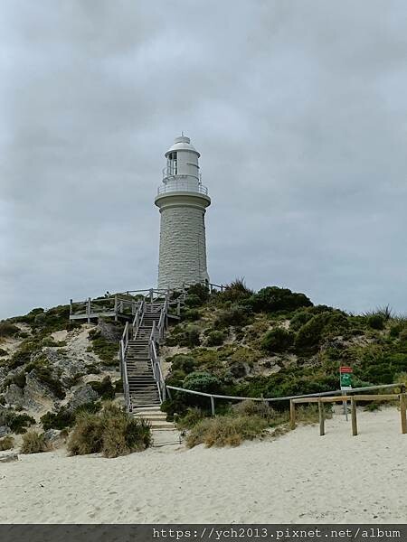 西澳伯斯離島羅特尼斯島Rottnest Island漫步／遇