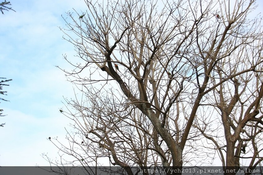 西澳伯斯聖母主教座堂St. Mary's Cathedral 西澳伯斯聖母主教座堂St. Mary's Cathedral