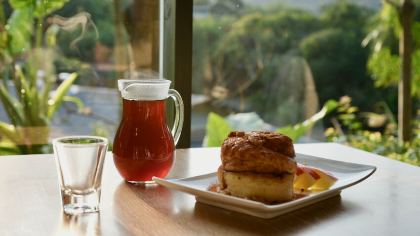 新北市新店區[新北景點] 搭安坑輕軌賞櫻｜一日票只要50元超划算！安坑輕軌周邊景點懶人包