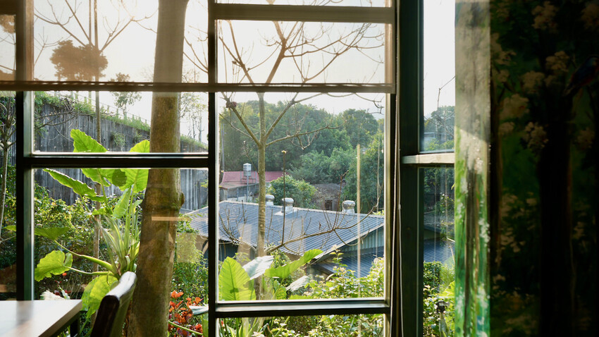 新北市新店區[新北景點] 搭安坑輕軌賞櫻｜一日票只要50元超划算！安坑輕軌周邊景點懶人包