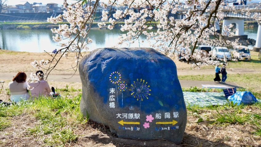 日本[日本] 白石川堤一目千本櫻｜日本絕景「東北NO.1賞櫻名所」仙台近郊景點推薦