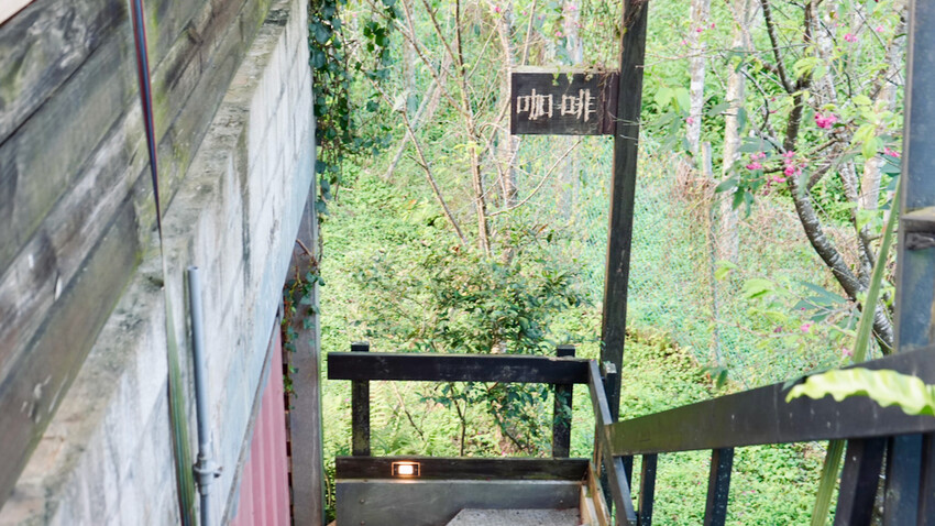 新北市新店區[新北景點] 搭安坑輕軌賞櫻｜一日票只要50元超划算！安坑輕軌周邊景點懶人包