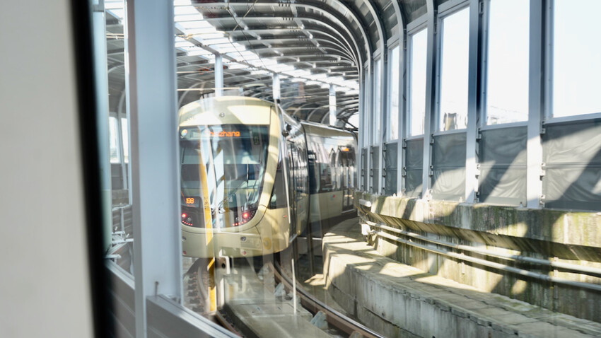 新北市新店區[新北景點] 搭安坑輕軌賞櫻｜一日票只要50元超划算！安坑輕軌周邊景點懶人包