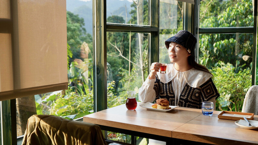 新北市新店區[新北景點] 搭安坑輕軌賞櫻｜一日票只要50元超划算！安坑輕軌周邊景點懶人包