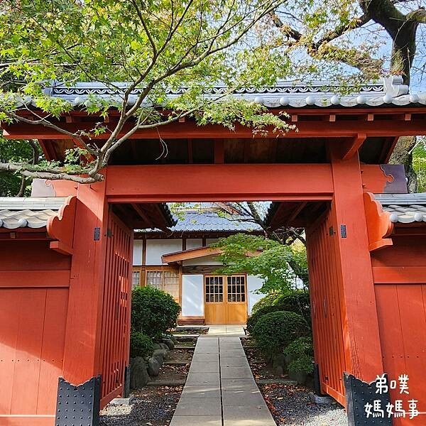 日本【日本‧東京】豪德寺招福貓│限量招福貓，想買只能靠緣分！滿滿招福貓，愛貓的你不要錯過～