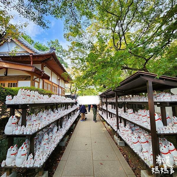日本【日本‧東京】豪德寺招福貓│限量招福貓，想買只能靠緣分！滿滿招福貓，愛貓的你不要錯過～