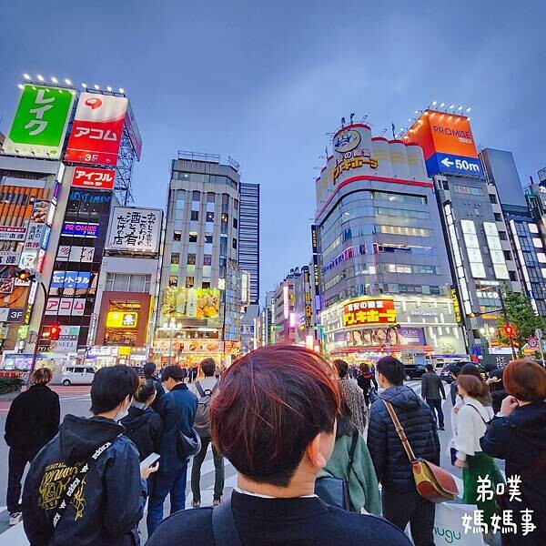 日本【日本‧】尋找新宿3D巨大貓咪和哥吉拉(格拉斯麗哥吉拉飯店)、夾娃娃機散步紀錄