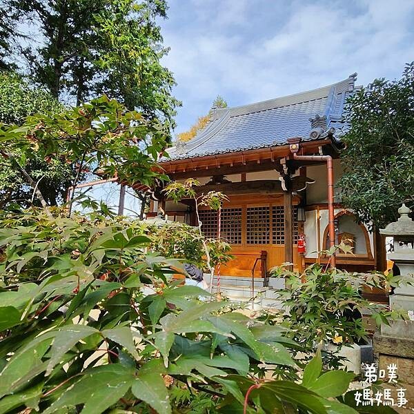 日本【日本‧東京】豪德寺招福貓│限量招福貓，想買只能靠緣分！滿滿招福貓，愛貓的你不要錯過～
