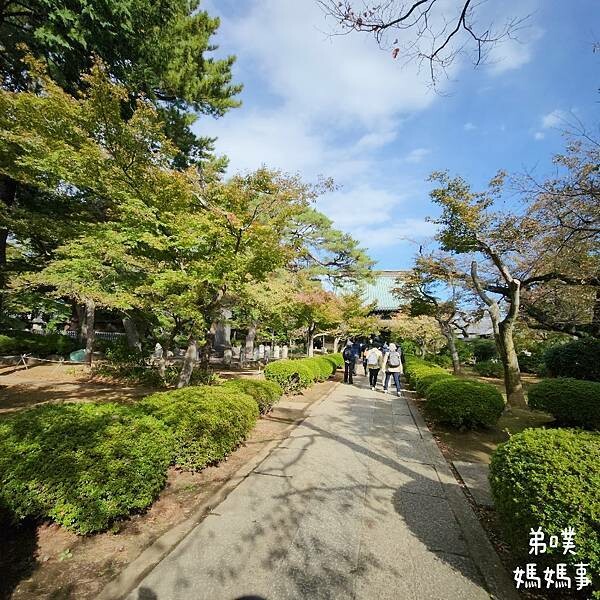 日本【日本‧東京】豪德寺招福貓│限量招福貓，想買只能靠緣分！滿滿招福貓，愛貓的你不要錯過～