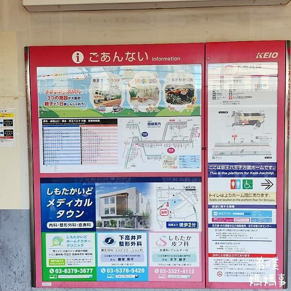 日本【日本‧東京】豪德寺招福貓│限量招福貓，想買只能靠緣分！滿滿招福貓，愛貓的你不要錯過～