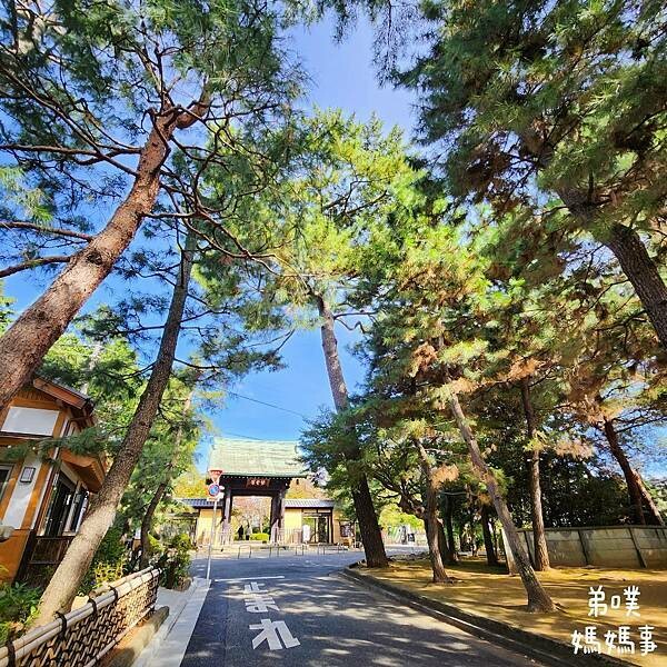 日本【日本‧東京】豪德寺招福貓│限量招福貓，想買只能靠緣分！滿滿招福貓，愛貓的你不要錯過～